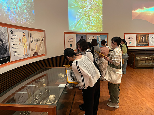 兵庫県立考古博物館の展示見学／「歴史文化フィールドワークⅠ」